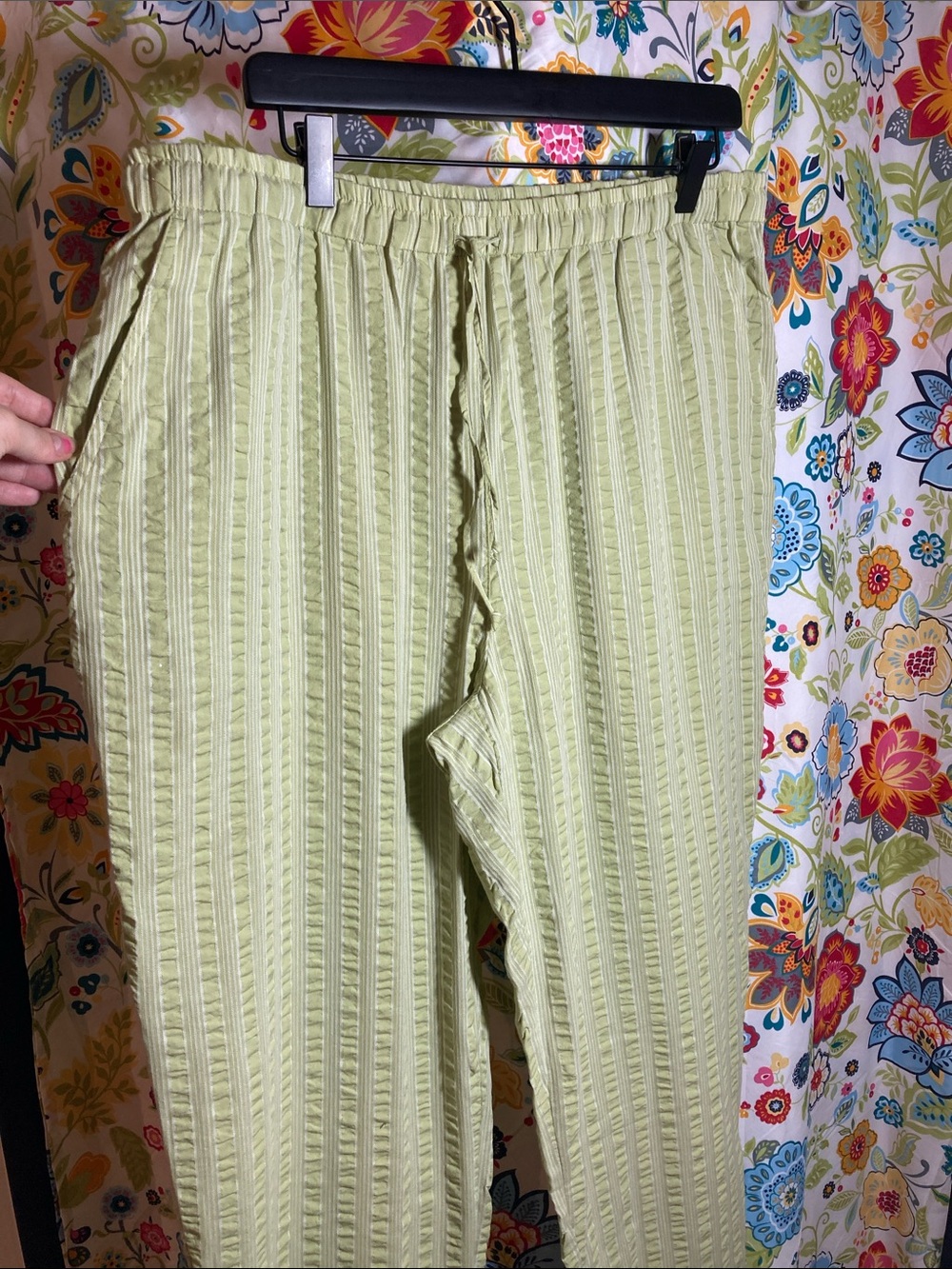 Light Green Appleseeds Seersucker 18W Pants